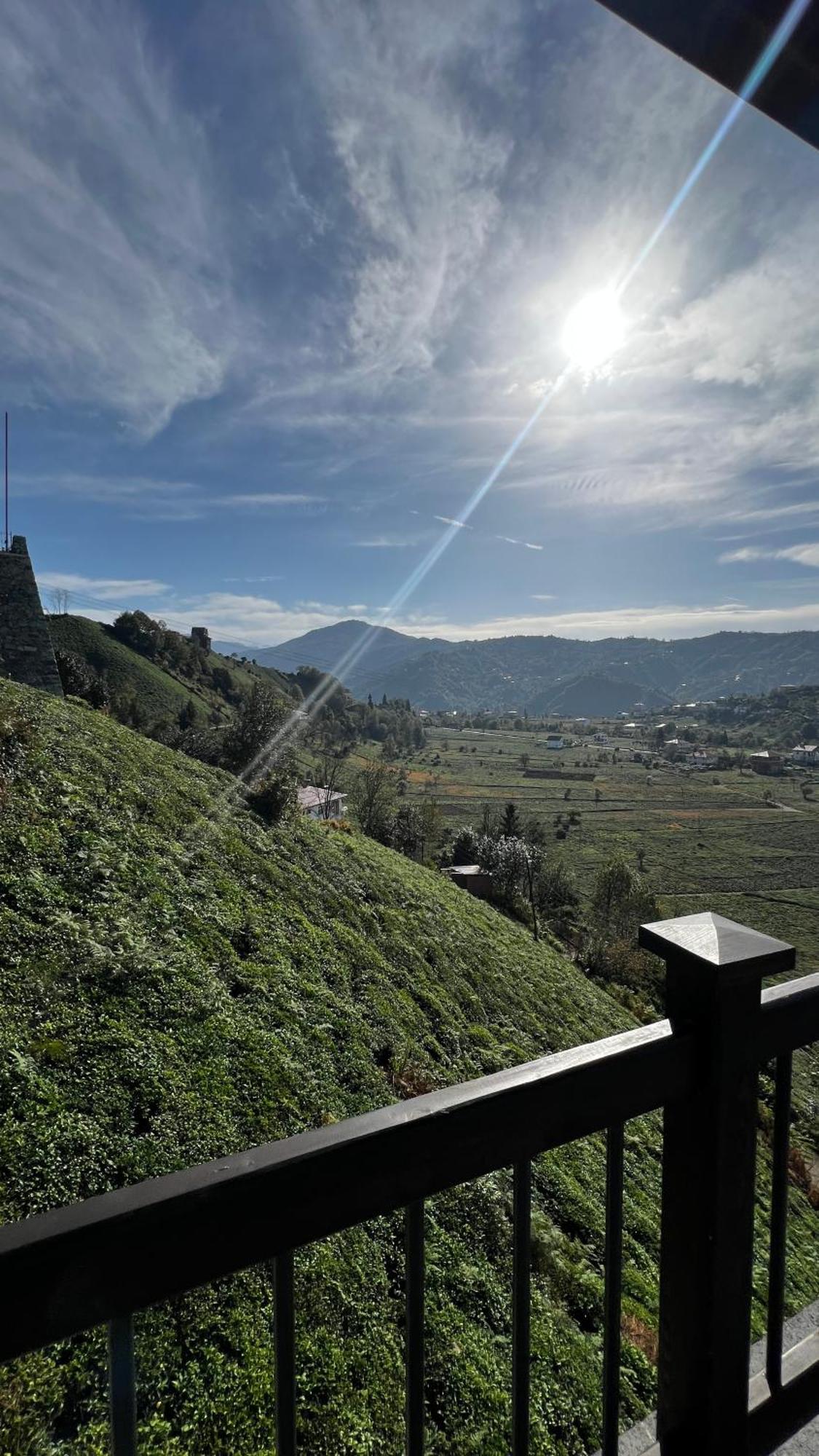 Meona Villa Bungalov Ardeşen Exteriér fotografie